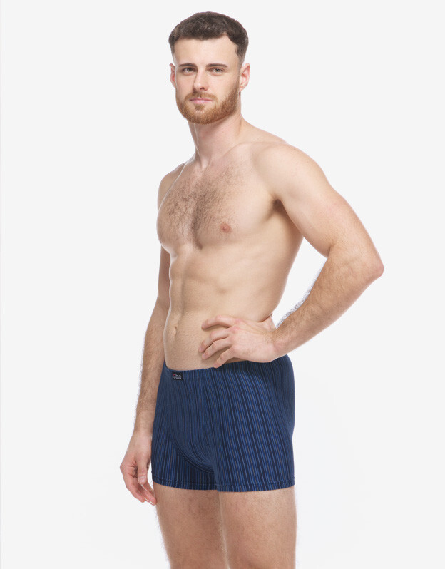 Pánské boxerky Gino vícebarevné (73138-DCMMBM) M, trenky / trenýrky