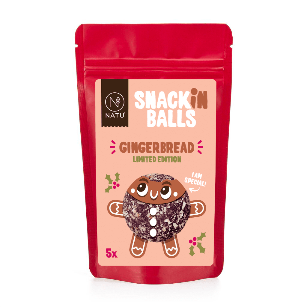 NATU SNACKin Balls Gingerbread 65g
