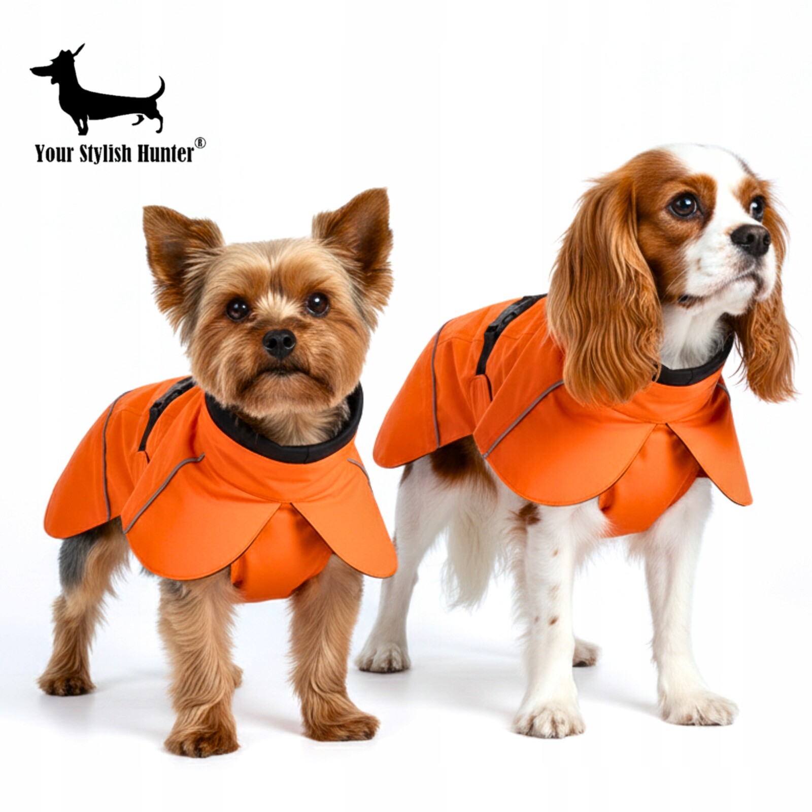 Voděodolná bunda, pláštěnka, oblečení pro psa, reflexní prvky, velikost L