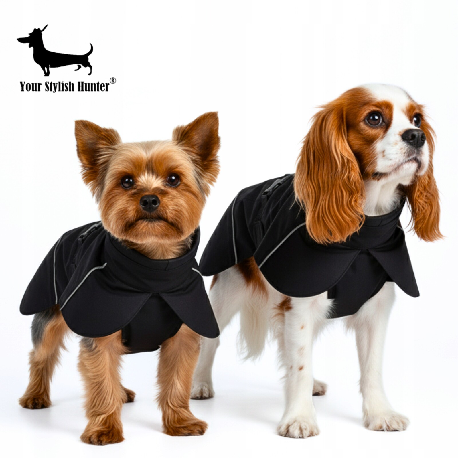 Voděodolná bunda, pláštěnka, oblečení pro psa, reflexní prvky 3XL