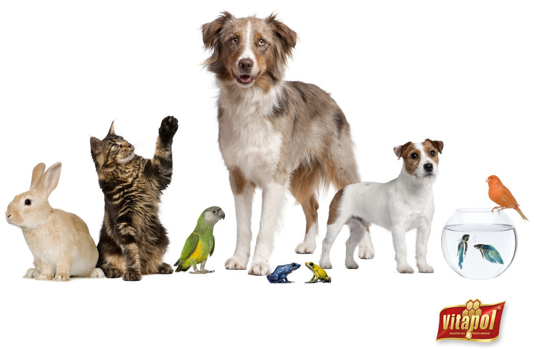 Ekonomické Krmivo Krmivo Křečky 20 kg