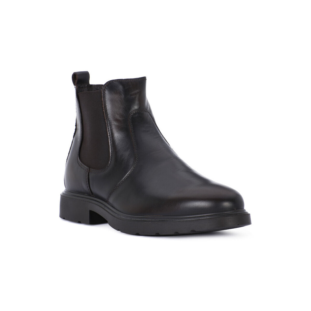 IgI&CO  TESTA MORO  Hnědá