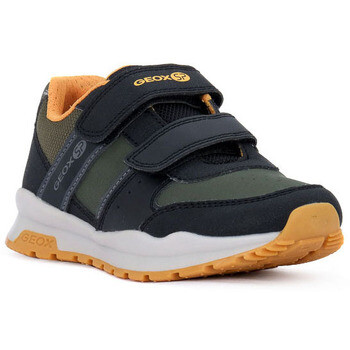 Geox  CORIDAN  Zelená