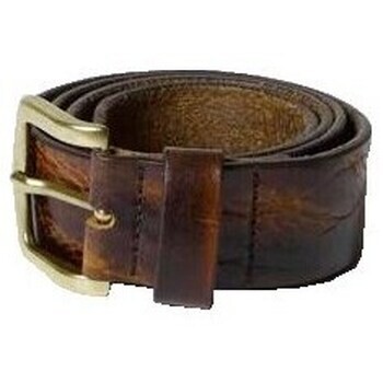 Aeronautica Militare  CP256PL2550002  Hnědá