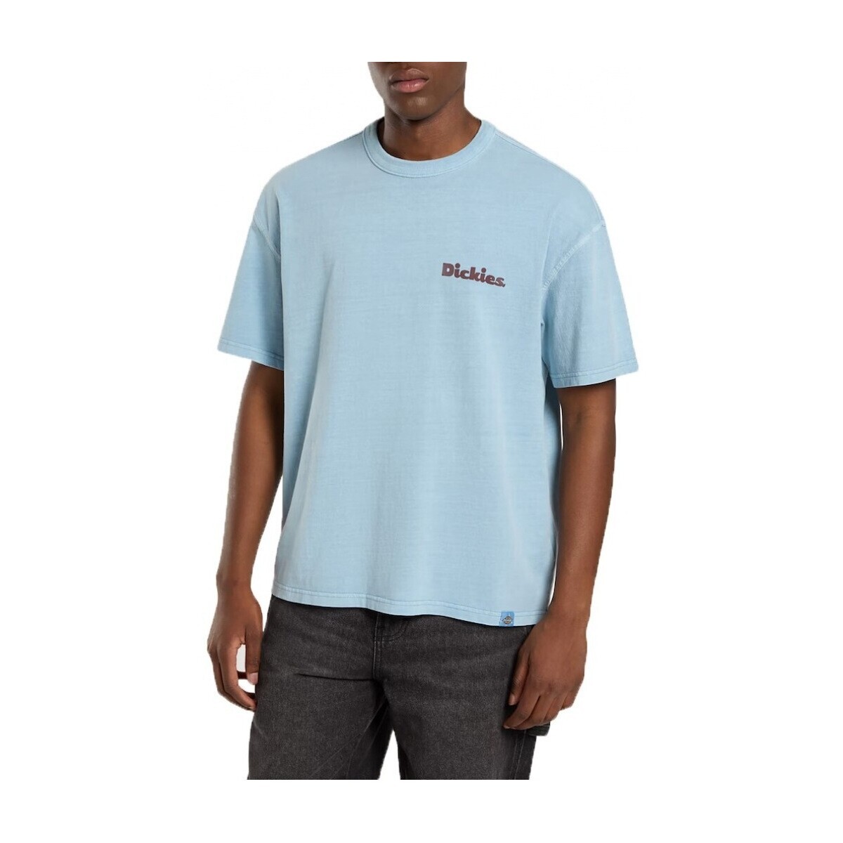 Dickies  SLAYDEN GD  Modrá