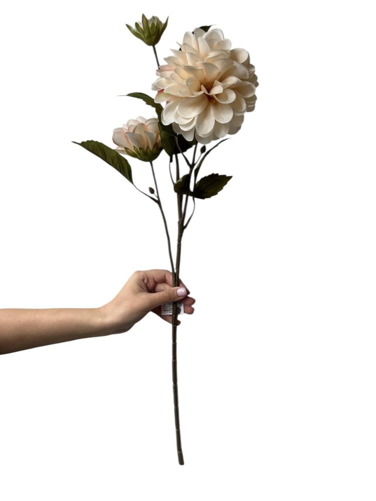 FLORISTA Chryzantéma 63 cm - krémová