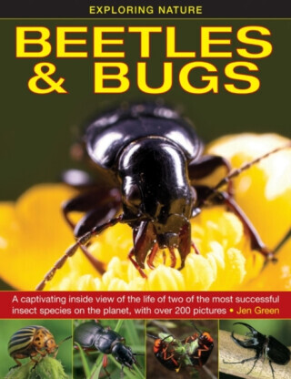 Exploring Nature: Beetles & Bugs: A Captivating Inside View of the Life of Two of the Most Successful Insect Species on the Planet, with Over 200 Pict -  (Green Jen)(Pevná vazba)