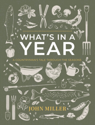 WHAT'S IN A YEAR - John Miller