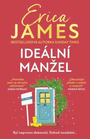 Ideální manžel - Erica James - e-kniha