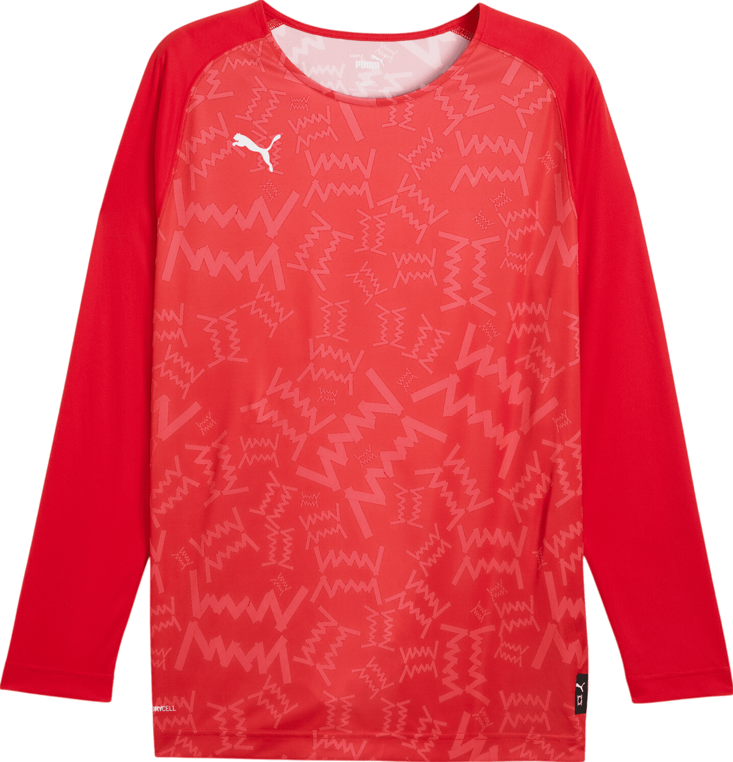 Triko s dlouhým rukávem Puma  Teamjaws Graphic Ls Shooting Shirt