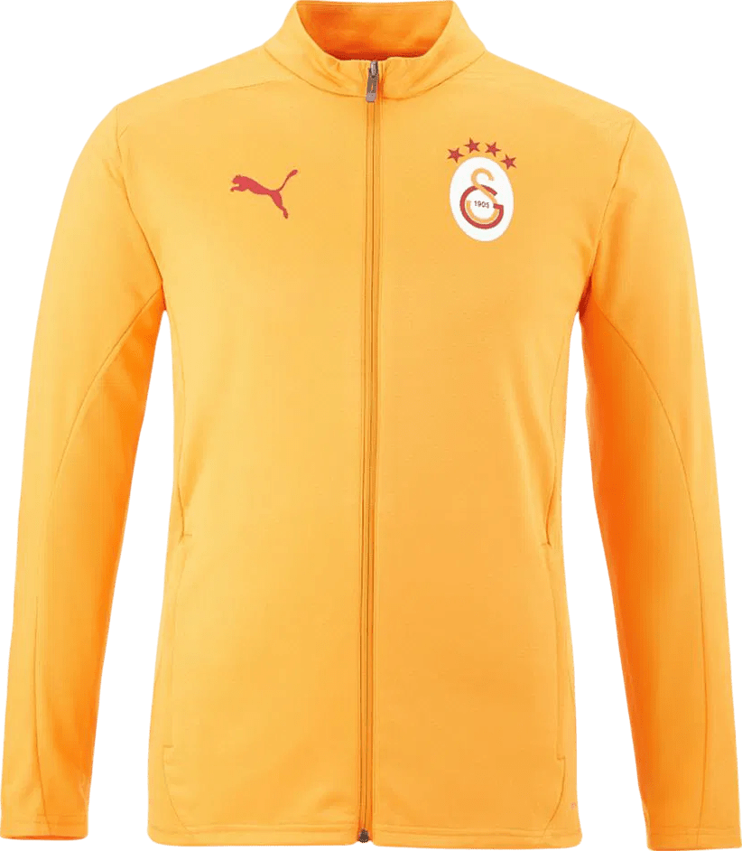 Bunda Puma  Galatasaray Istanbul Training Jacket