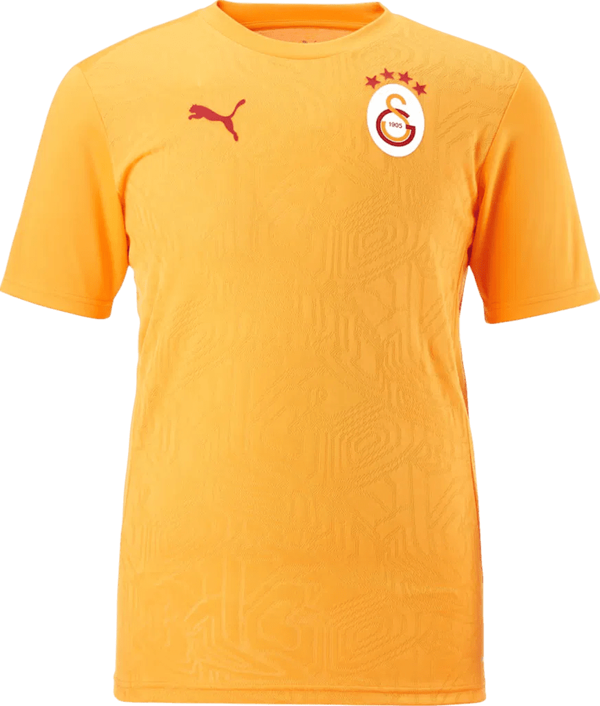 Dres Puma  Galatasaray Istanbul Training T-Shirt