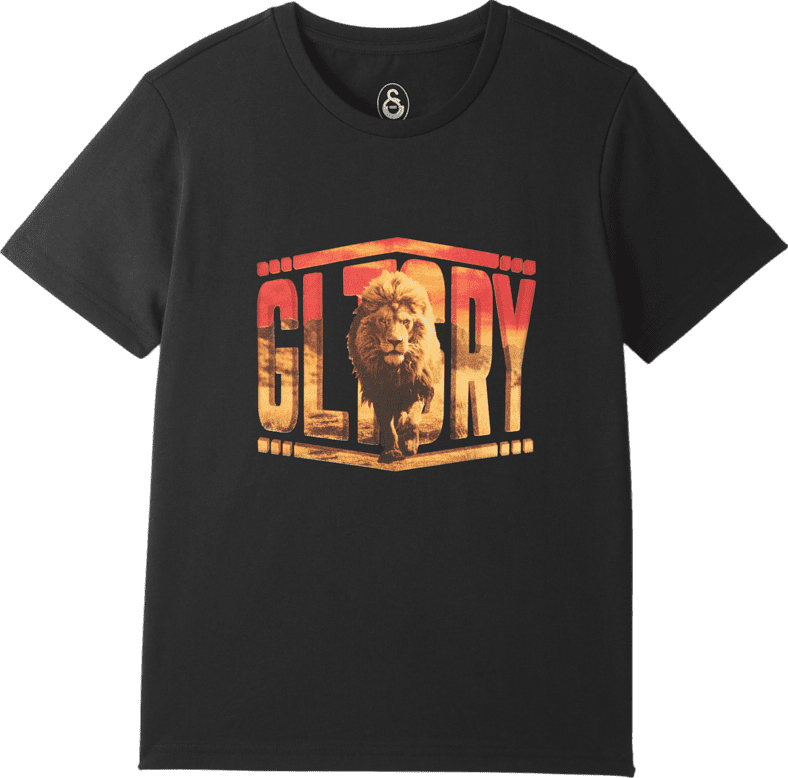 Triko Puma  Galatasaray Istanbul T-Shirt