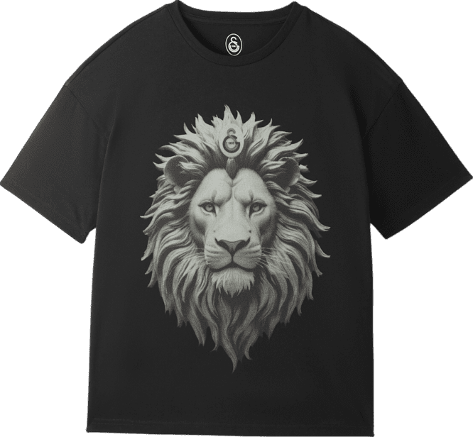 Triko Puma  Galatasaray Istanbul T-Shirt Kids