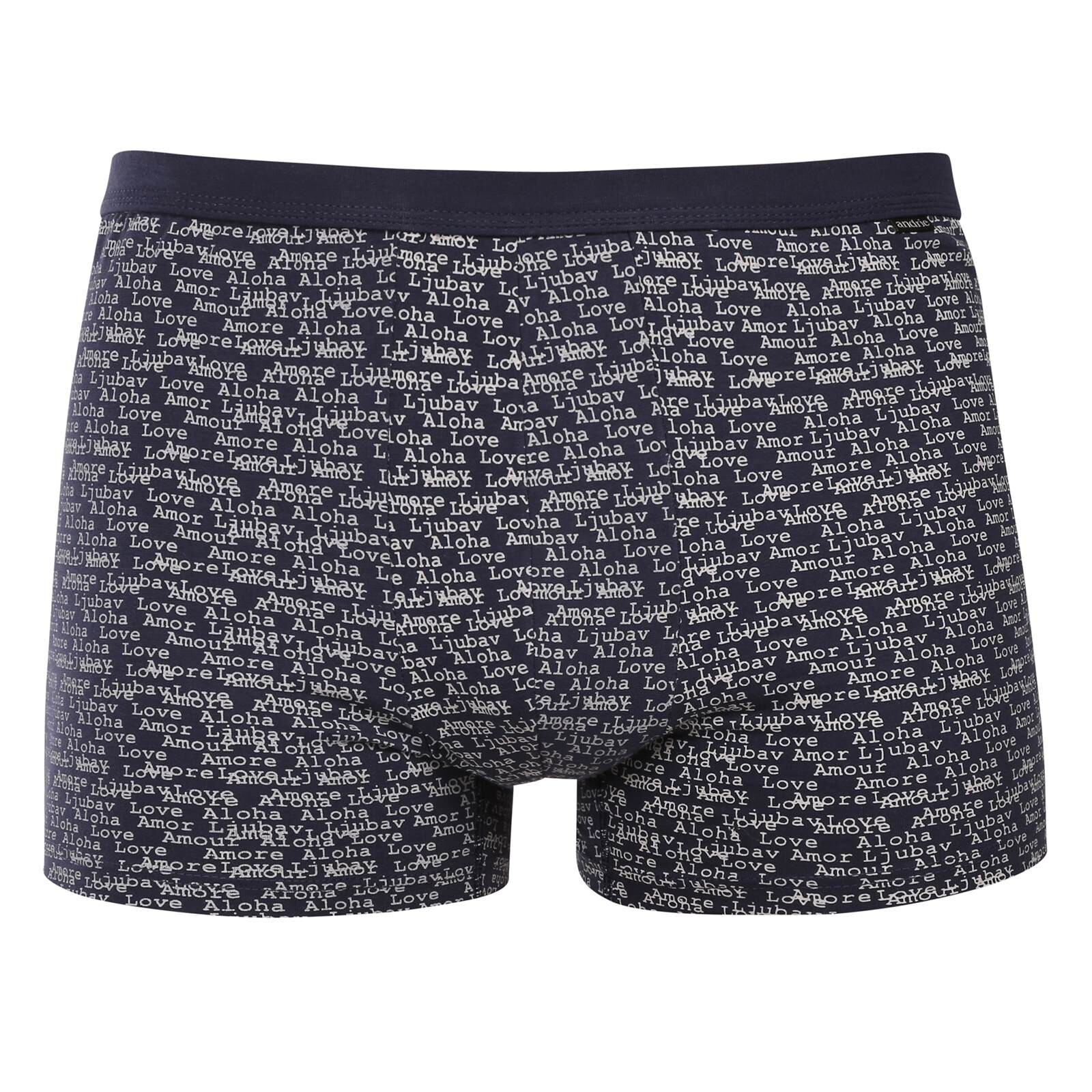 Pánské boxerky Andrie vícebarevné (PS 5800/grey) L, trenky / trenýrky