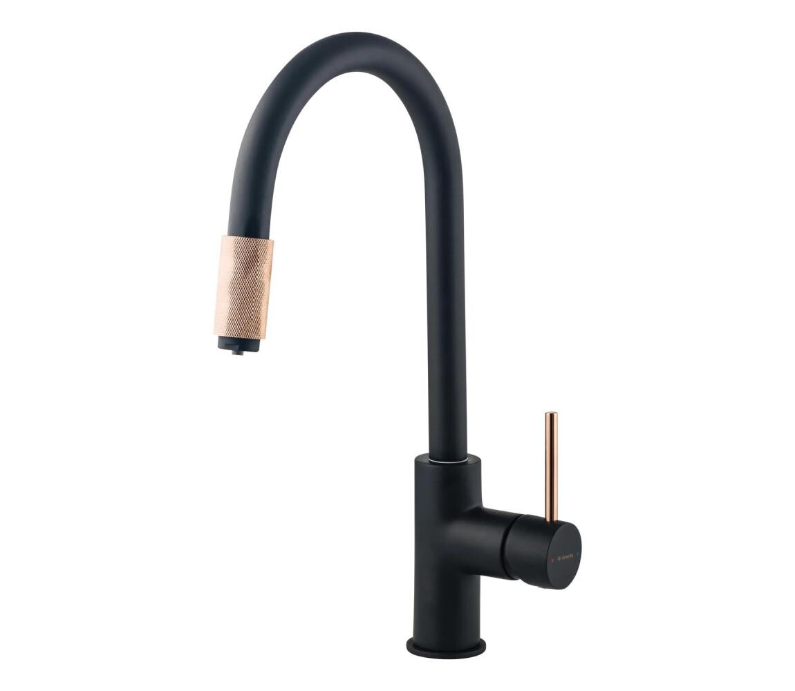 Deante BCA_B64M - Dřezová baterie ASTER černá/mosaz BCA_B64M