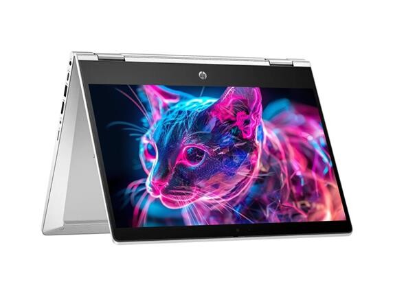 HP Pro x360 435 G10  Touch