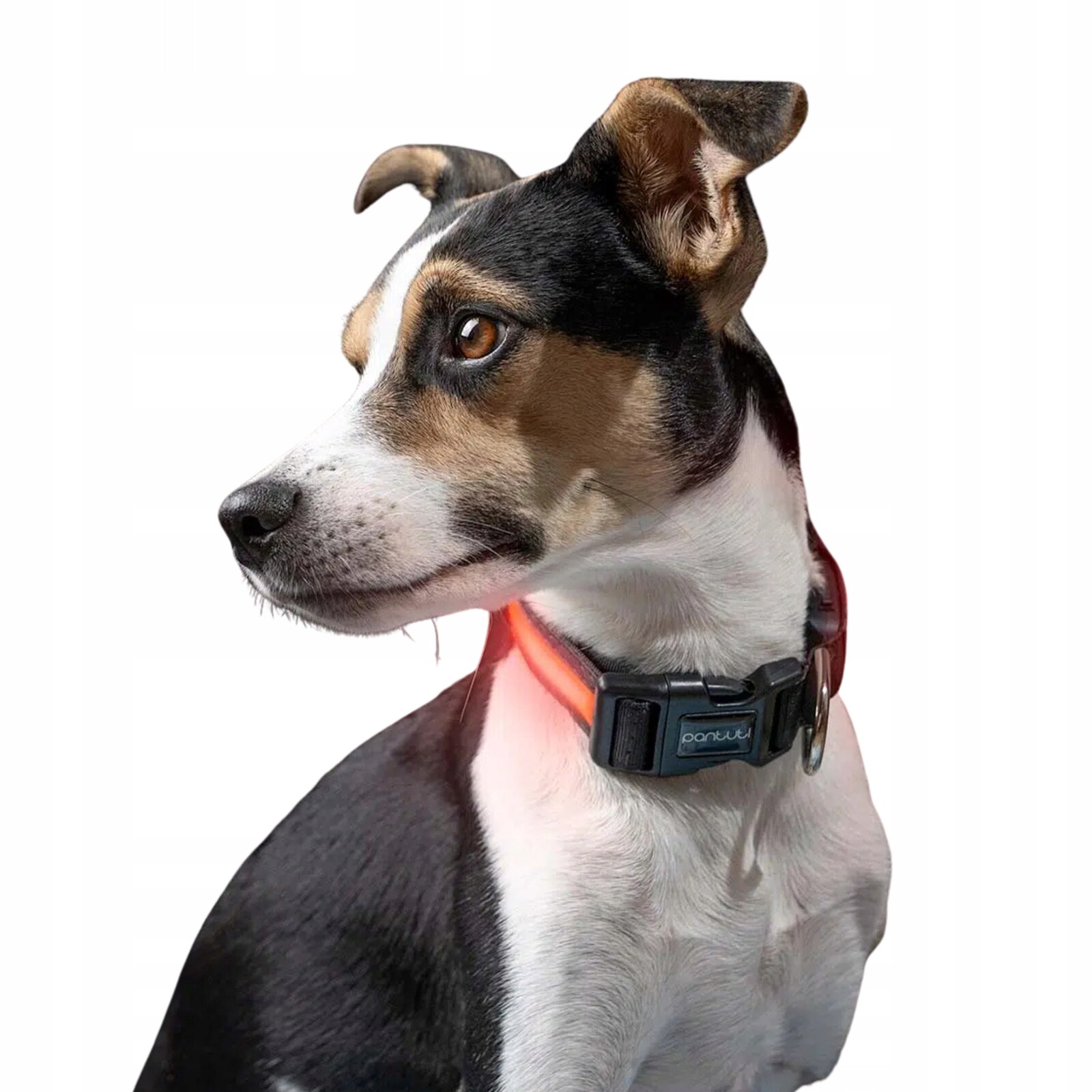 Svítící obojek pro psa Usb Led Superlux L Červený