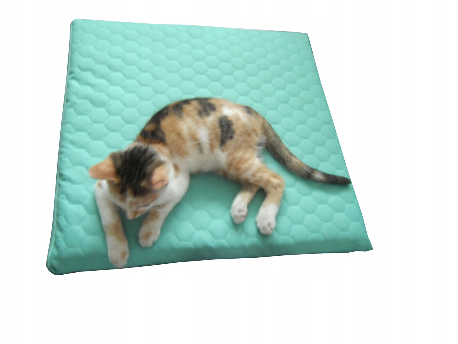 Polštář Pro Kočku 75X75 CM 2 CM, 30 Vzorů