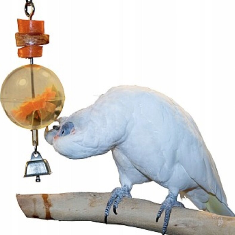 Krmící koule s zvonkem Bufet 3v1: hračka, miska, vzdělávání pro papoušky