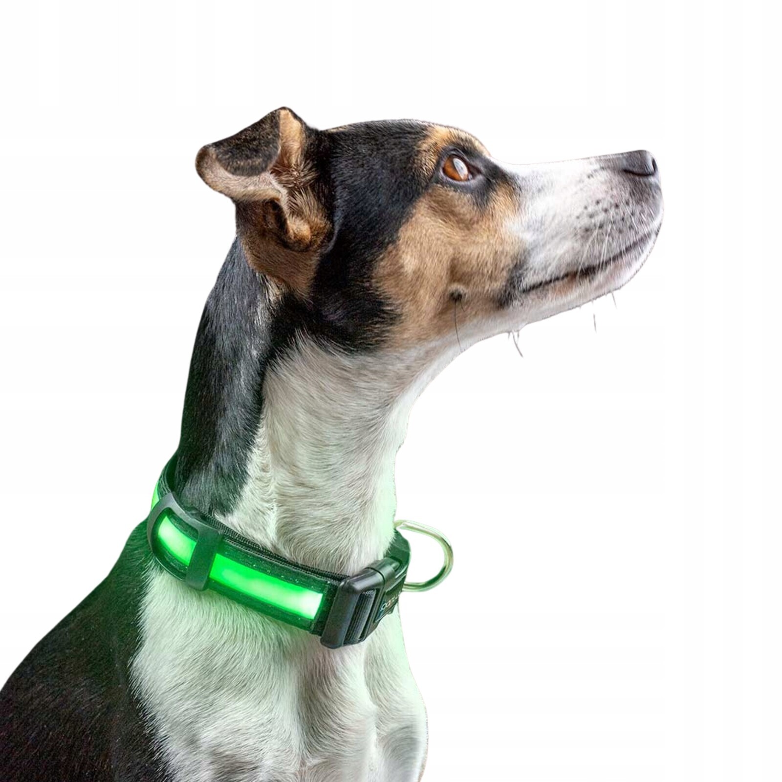 Svítící obojek pro psa Usb Led Superlux L zelený