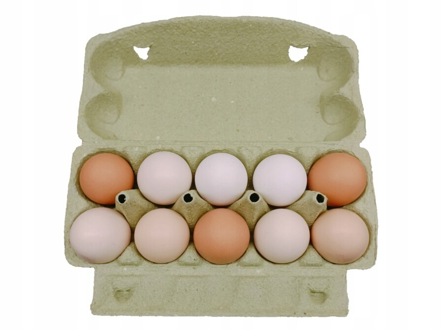 Čerstvá Vejce Volný Výběh 360 ks vel. L Polské
