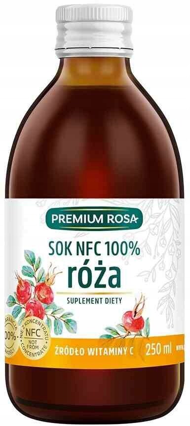 Šípkový džus s vitamínem C 250 ml
