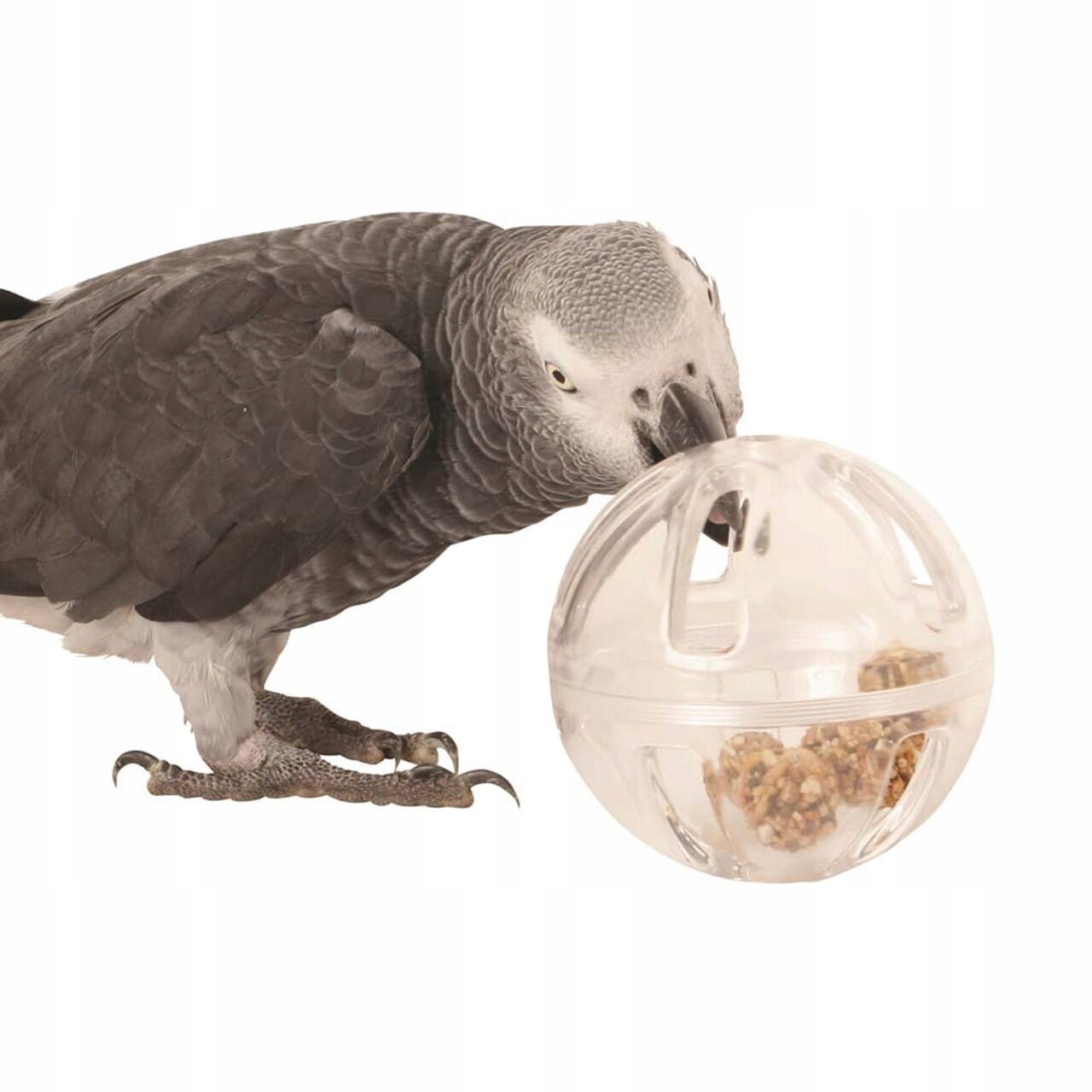 Hračka Bufet v míči pro všechny papoušky