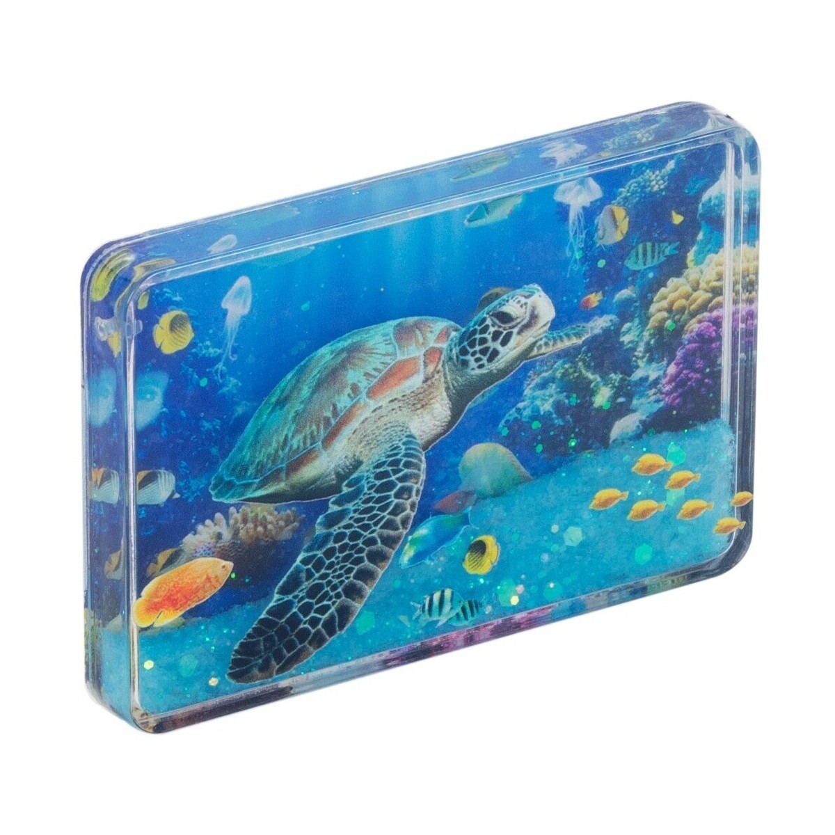 Signes Grimalt  Magnetická Želva  Modrá