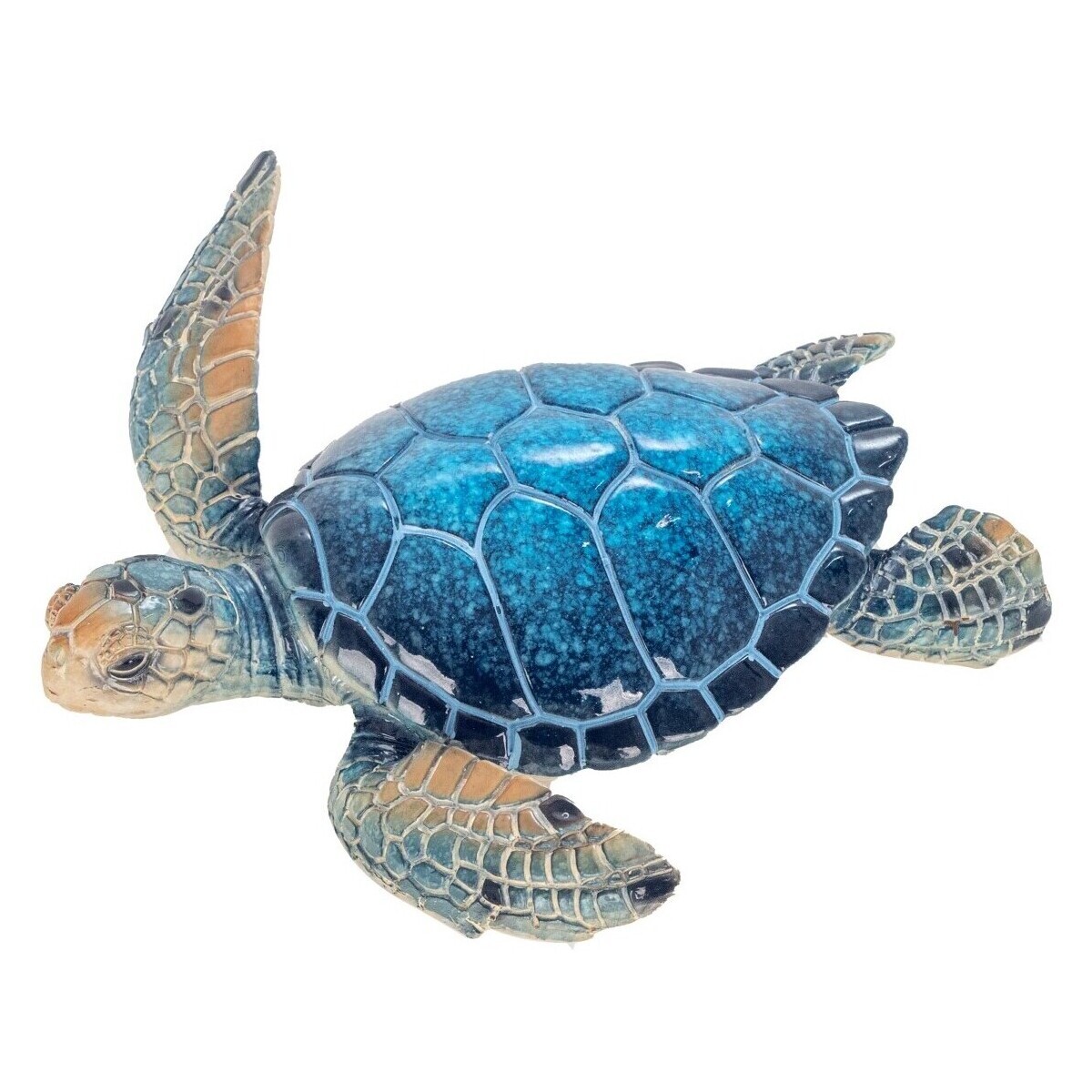 Signes Grimalt  Želva  ruznobarevne