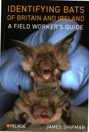Identifying Bats of Britain and Ireland: A Field Workers Guide -  (Shipman James)(Paperback)