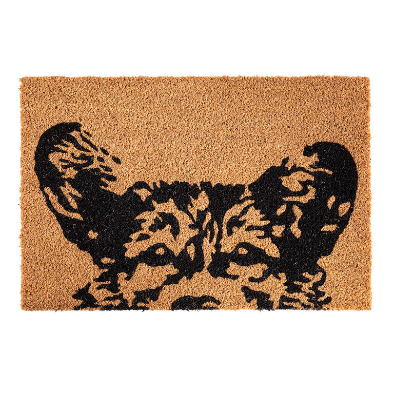 Kokosová rohožka VLČÁK 40 x 60 cm