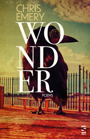 Wonder - Chris Emery