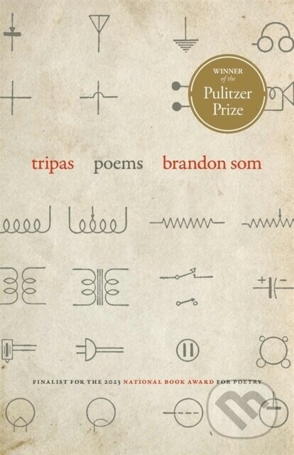 Tripas - Brandon Som