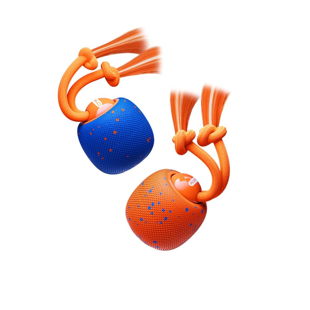 Cheerble Wicked Ball Rolly | Interaktivní hračka pro psy - Modrá