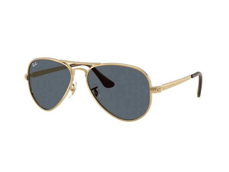 Ray-Ban RB3925 001/R5
