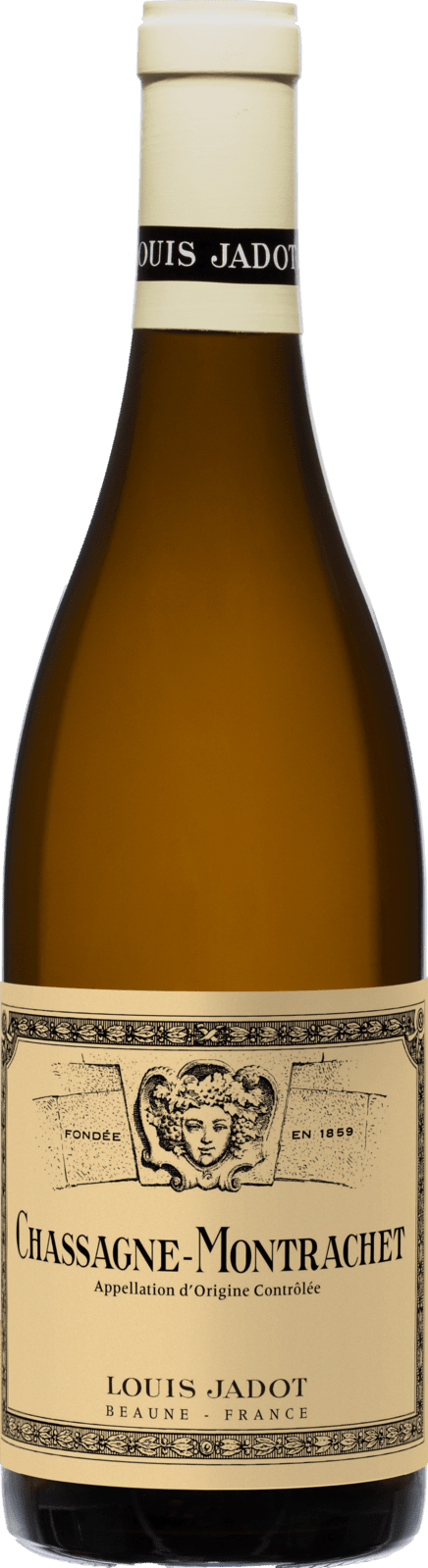 Louis Jadot Chassagne-Montrachet 2023
