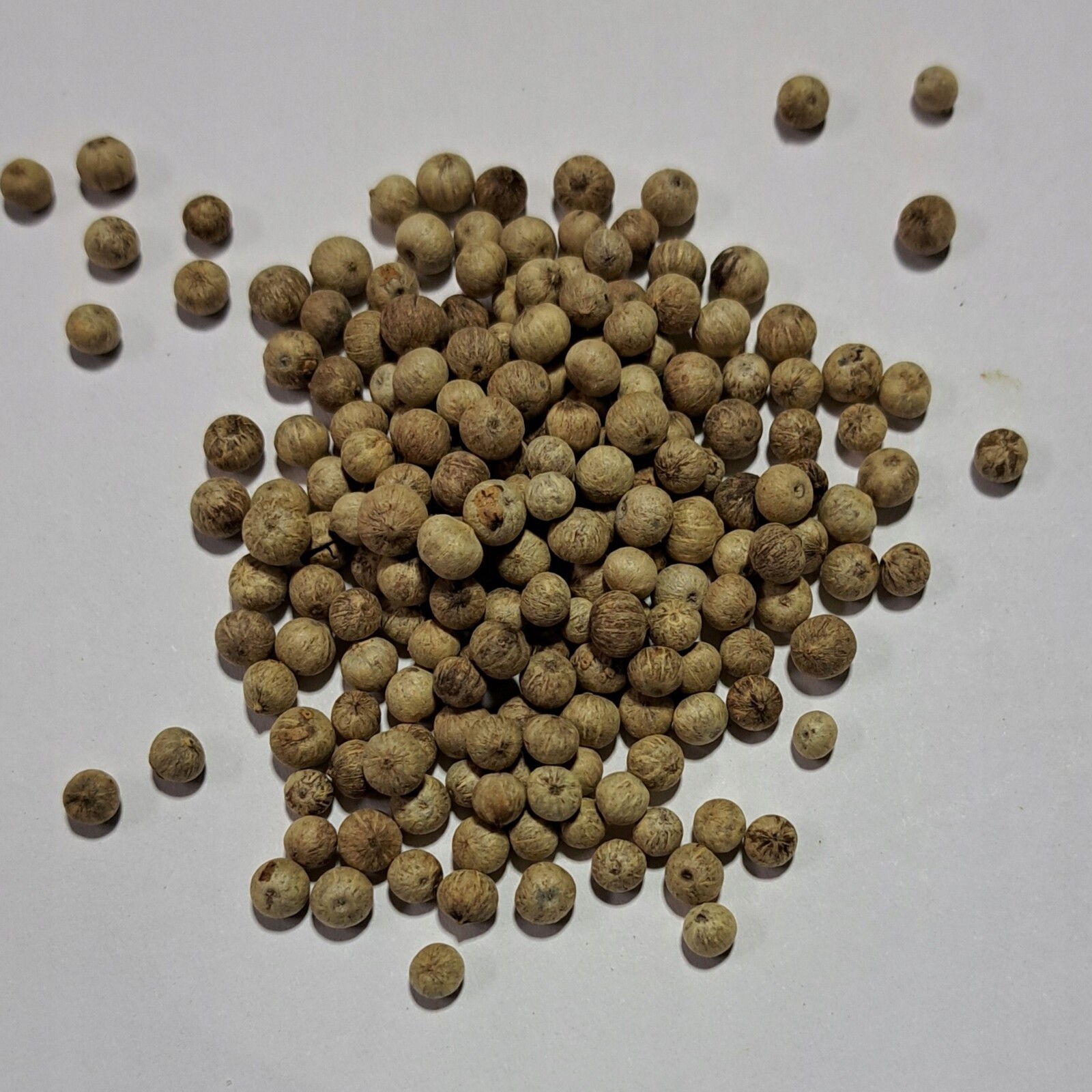 Kampotský bílý pepř 50g Rafex