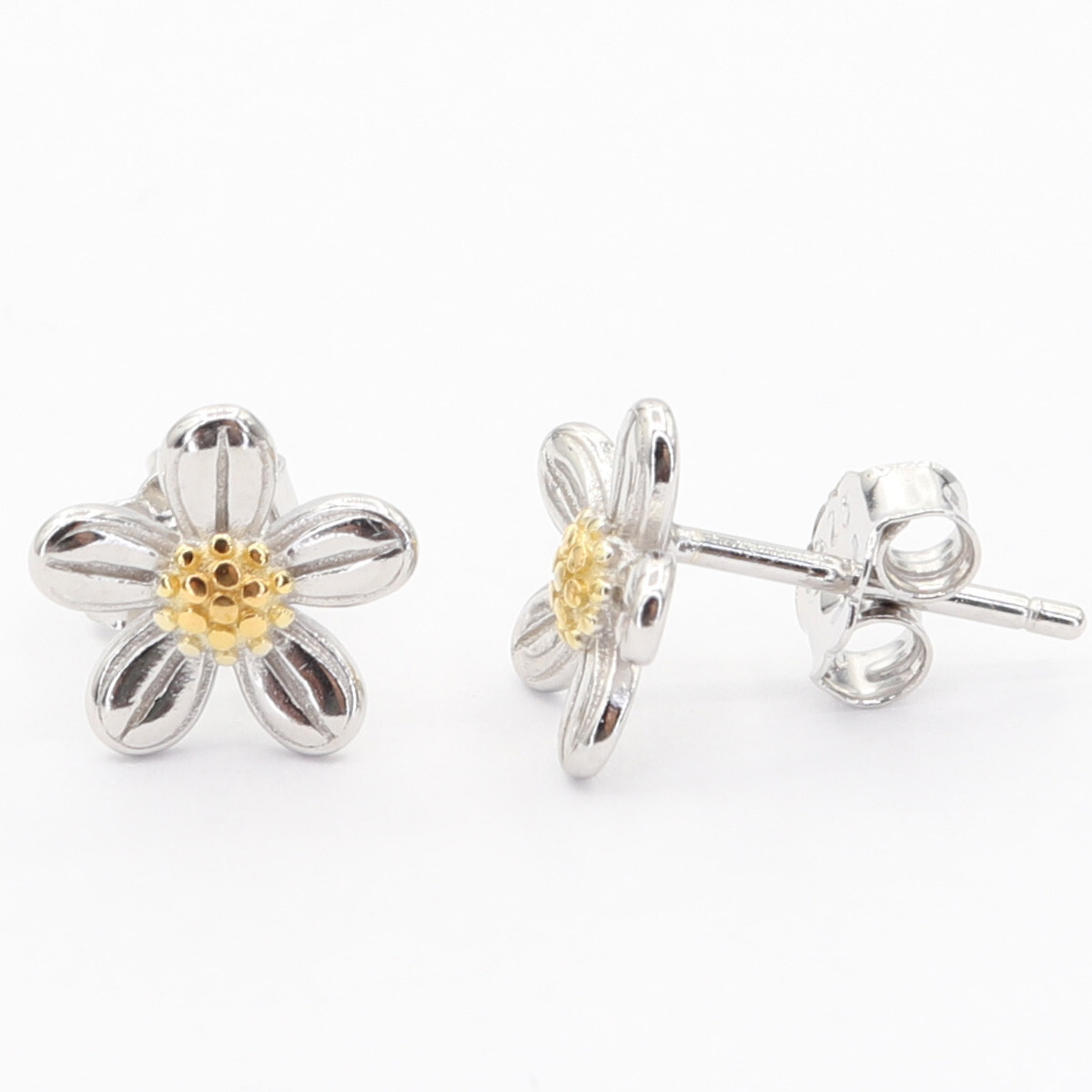 Stříbrné náušnice E4850