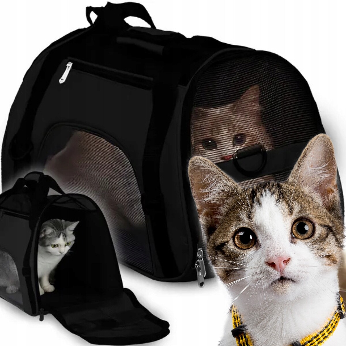 Přepravka pro kočky, psy, králíky, velká Pevná Taška 53x32x26 cm