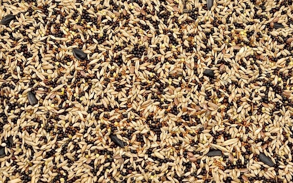 Krmivo pro kanárky Univerzální Kau 10 kg