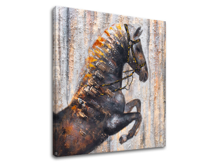 Obraz na plátně 1 díl kůň XOBCH1735HE1