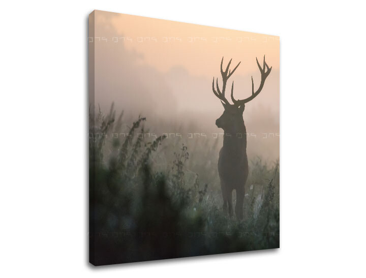 Nástěnná malba ZVÍŘATA_054-12