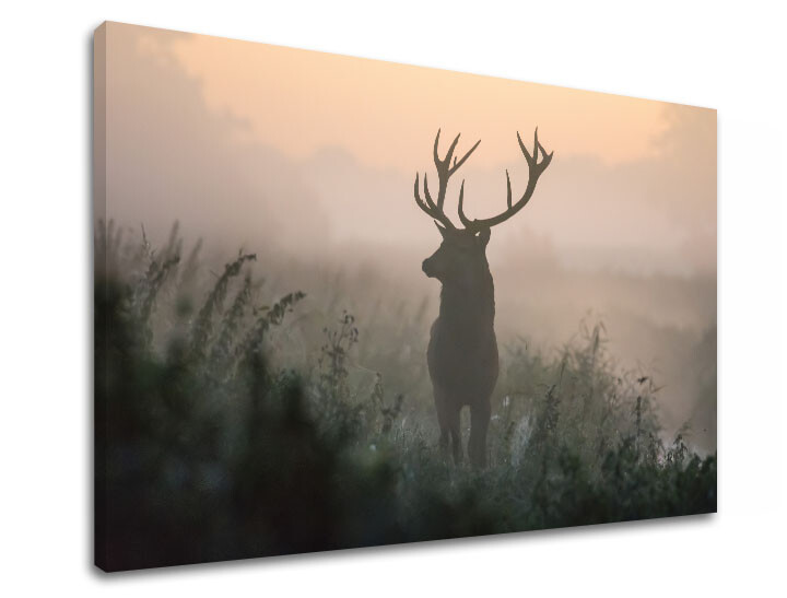 Nástěnná malba ZVÍŘATA_054-11