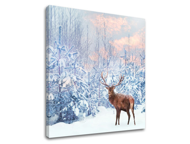 Nástěnná malba ZVÍŘATA_053-12