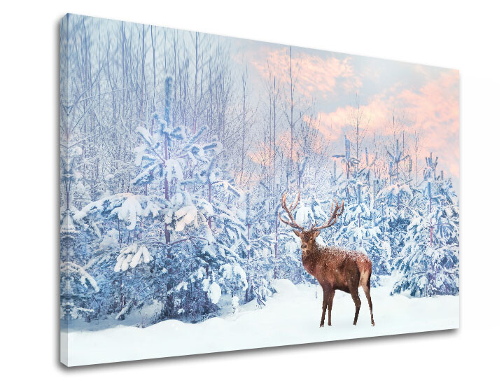 Nástěnná malba ZVÍŘATA_053-11