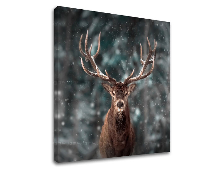 Nástěnná malba ZVÍŘATA_052-12