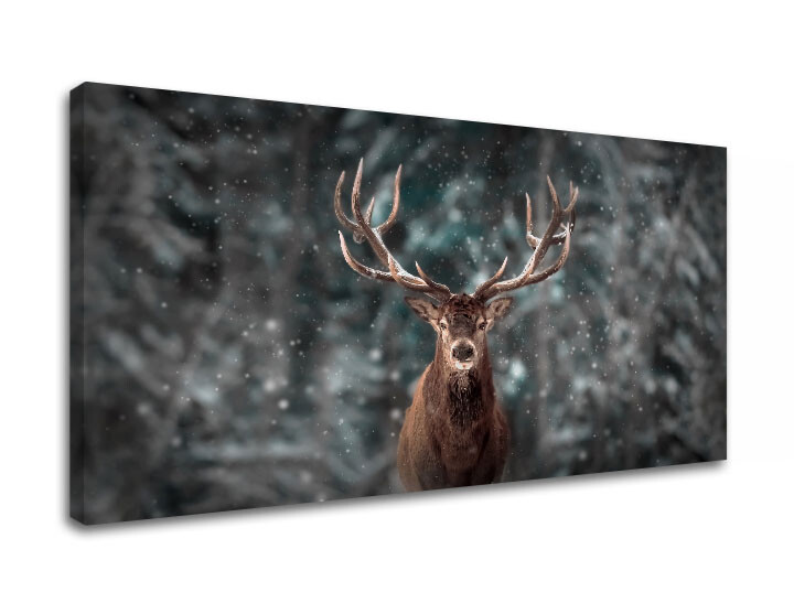 Nástěnná malba ZVÍŘATA_052-11