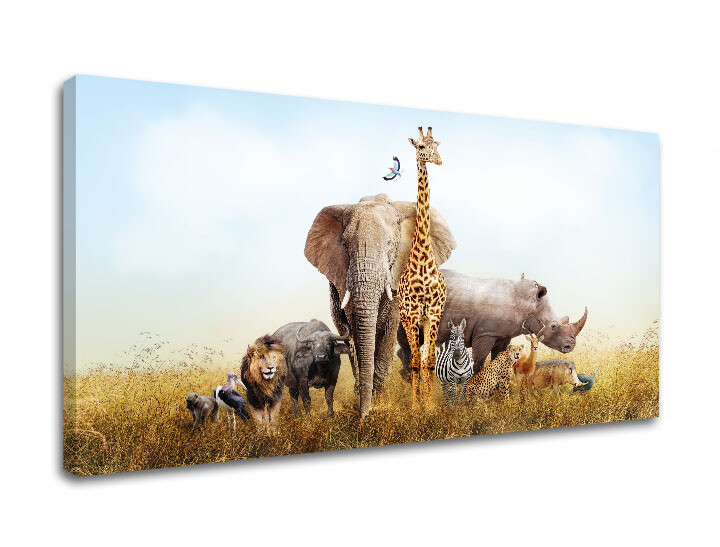 Nástěnná malba ZVÍŘATA_050-11