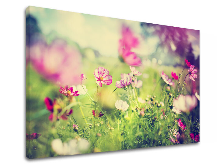 Nástěnná malba RŮŽOVÉ KVĚTY_165-11